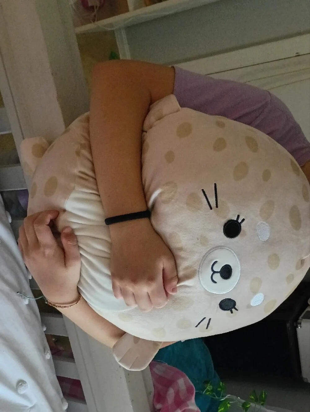 Squishmallows cute seal